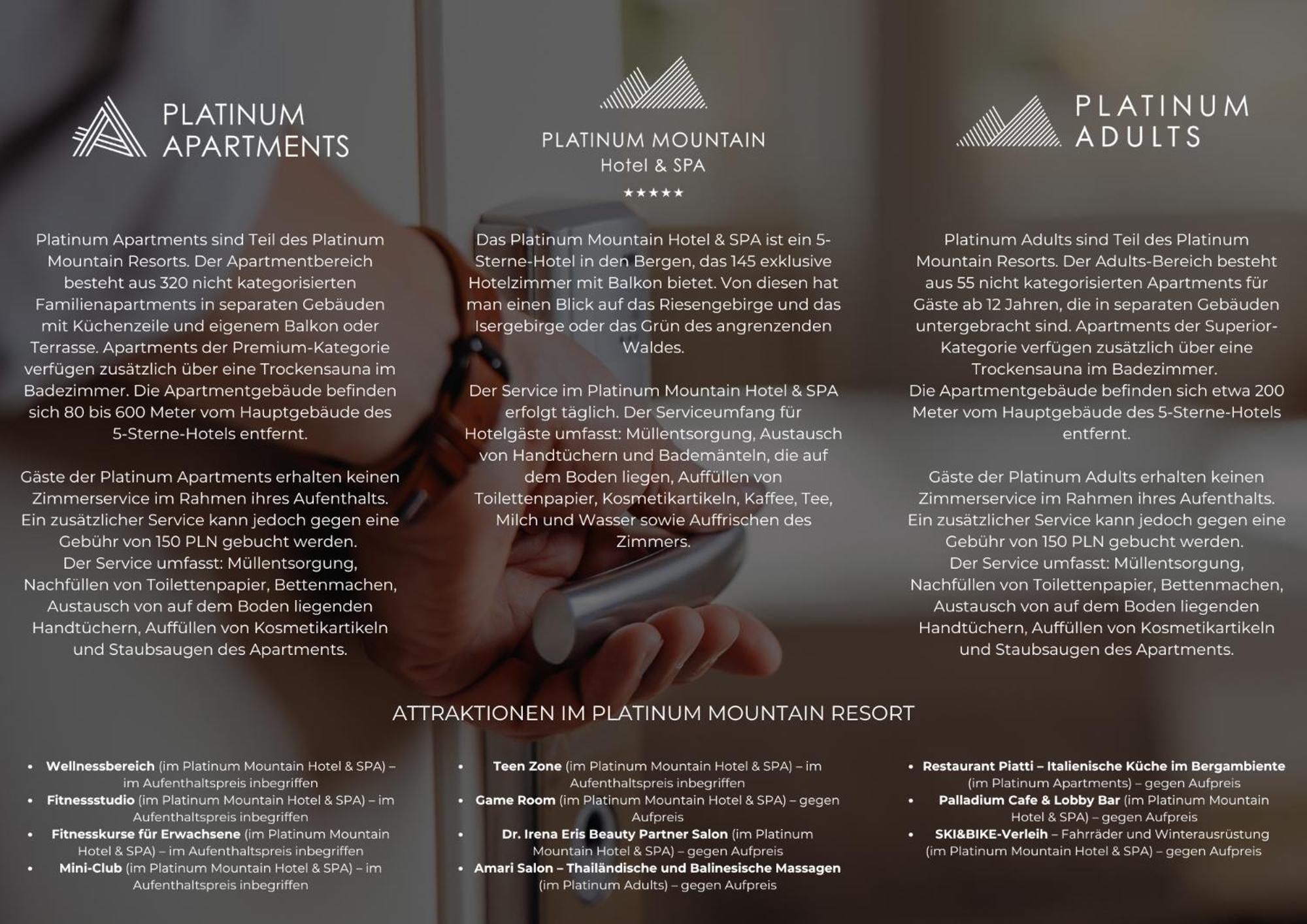 Platinum Mountain Hotel&Spa Шклярска-Поремба Экстерьер фото Brochure